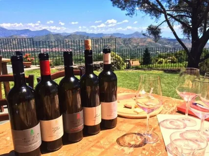 Italy Wine Vacation Packages