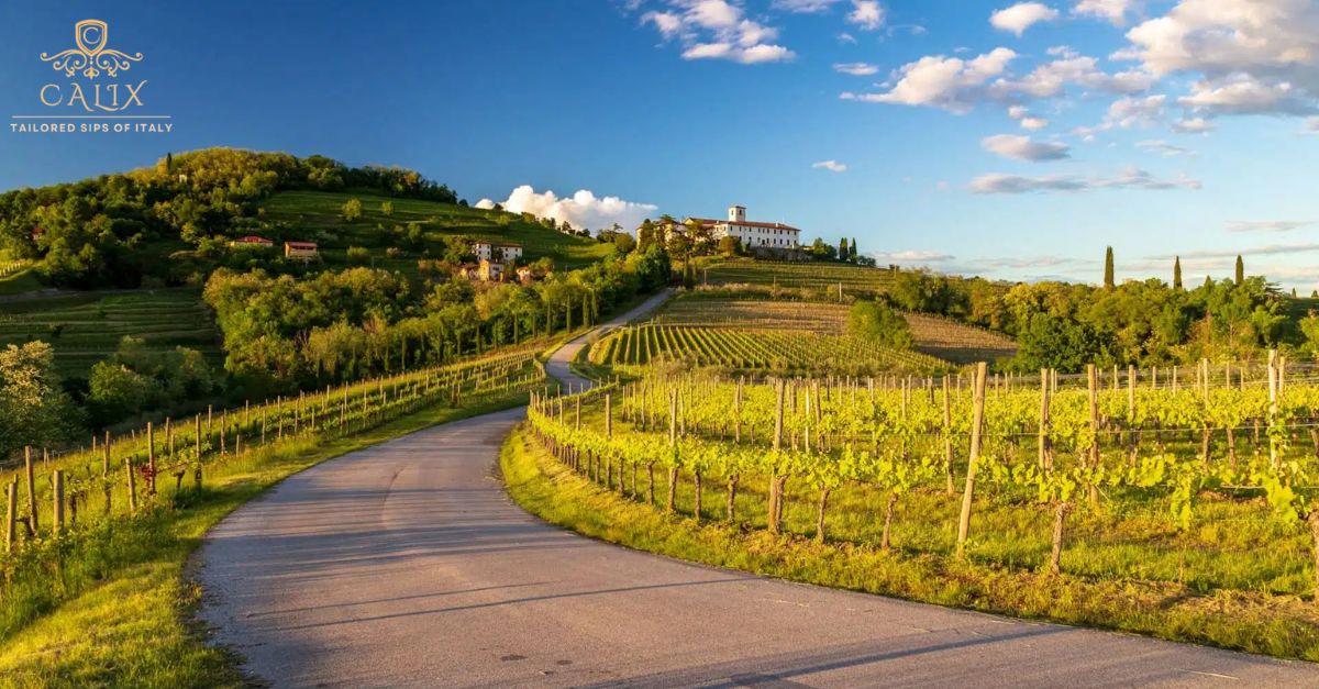 How to Plan a Tuscany Wine Vacation for 2026: From Florence to the Countryside